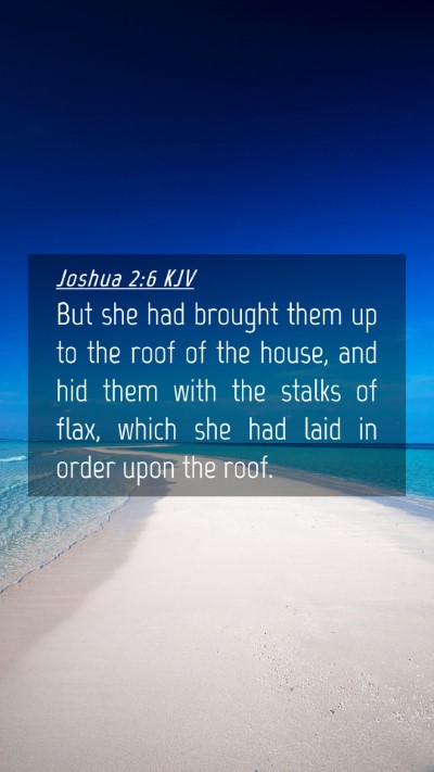 Picture 04 - Joshua 2:6 KJV Mobile Phone Wallpaper - But she had brought them up to the roof of the - Mobile Bible Verse Wallpaper