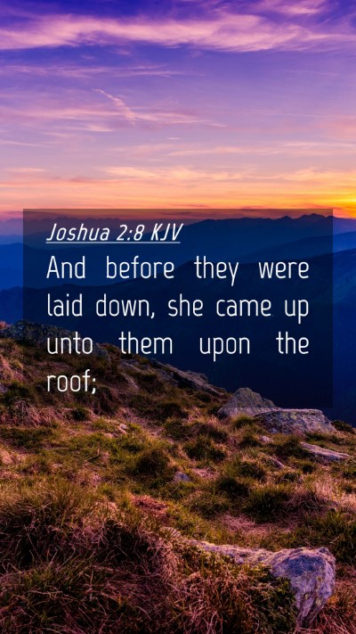 Picture 04 - Joshua 2:8 KJV Mobile Phone Wallpaper - And before they were laid down, she came up unto - Mobile Bible Verse Wallpaper