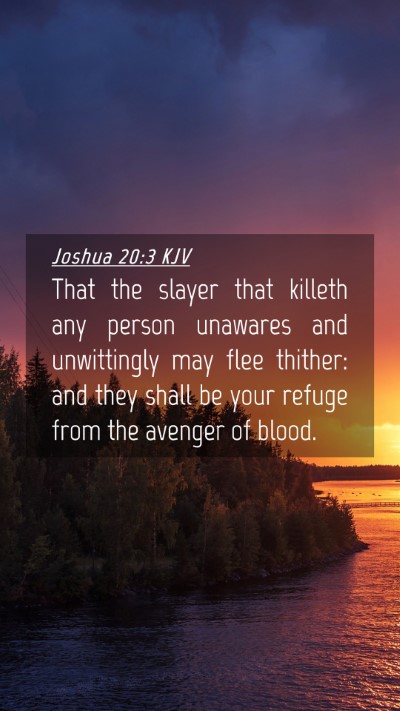 Picture 04 - Joshua 20:3 KJV Mobile Phone Wallpaper - That the slayer that killeth any person unawares - Mobile Bible Verse Wallpaper