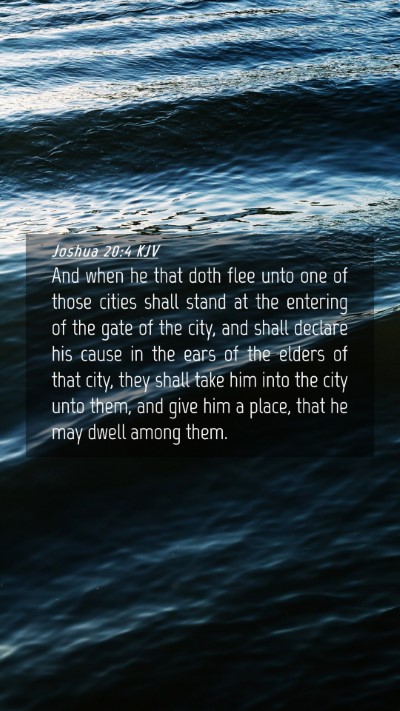 Picture 04 - Joshua 20:4 KJV Mobile Phone Wallpaper - And when he that doth flee unto one of those - Mobile Bible Verse Wallpaper