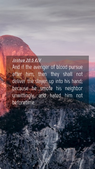 Picture 04 - Joshua 20:5 KJV Mobile Phone Wallpaper - And if the avenger of blood pursue after him, - Mobile Bible Verse Wallpaper