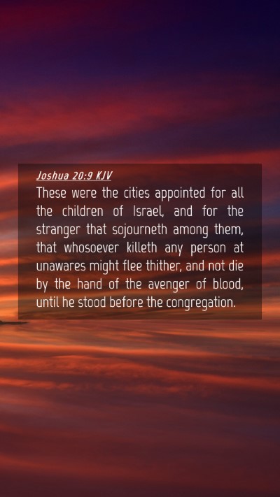 Picture 04 - Joshua 20:9 KJV Mobile Phone Wallpaper - These were the cities appointed for all the - Mobile Bible Verse Wallpaper