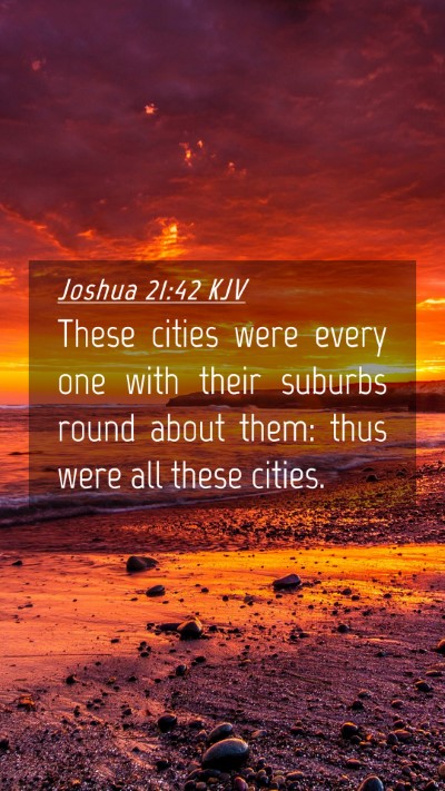 Picture 04 - Joshua 21:42 KJV Mobile Phone Wallpaper - These cities were every one with their suburbs - Mobile Bible Verse Wallpaper