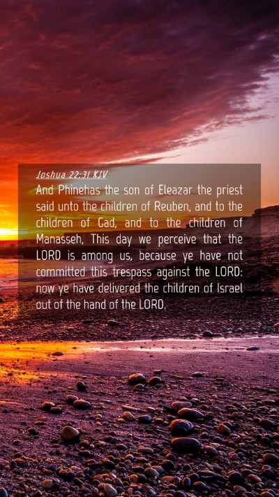 Picture 04 - Joshua 22:31 KJV Mobile Phone Wallpaper - And Phinehas the son of Eleazar the priest said - Mobile Bible Verse Wallpaper