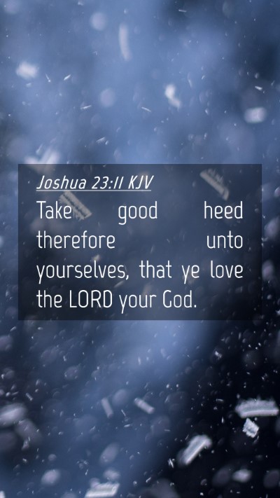 Picture 04 - Joshua 23:11 KJV Mobile Phone Wallpaper - Take good heed therefore unto yourselves, that ye - Mobile Bible Verse Wallpaper