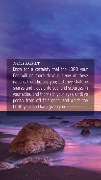Picture 04 - Joshua 23:13 KJV Mobile Phone Wallpaper - Know for a certainty that the LORD your God will - Mobile Bible Verse Wallpaper