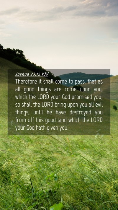 Picture 04 - Joshua 23:15 KJV Mobile Phone Wallpaper - Therefore it shall come to pass, that as all good - Mobile Bible Verse Wallpaper