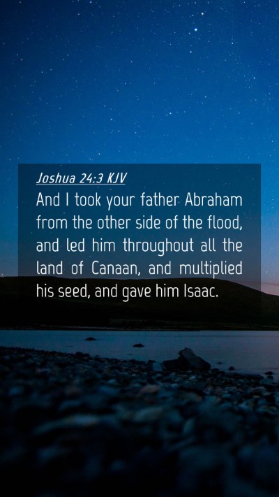 Picture 04 - Joshua 24:3 KJV Mobile Phone Wallpaper - And I took your father Abraham from the other - Mobile Bible Verse Wallpaper