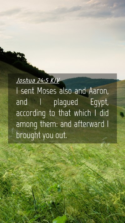 Picture 04 - Joshua 24:5 KJV Mobile Phone Wallpaper - I sent Moses also and Aaron, and I plagued Egypt, - Mobile Bible Verse Wallpaper