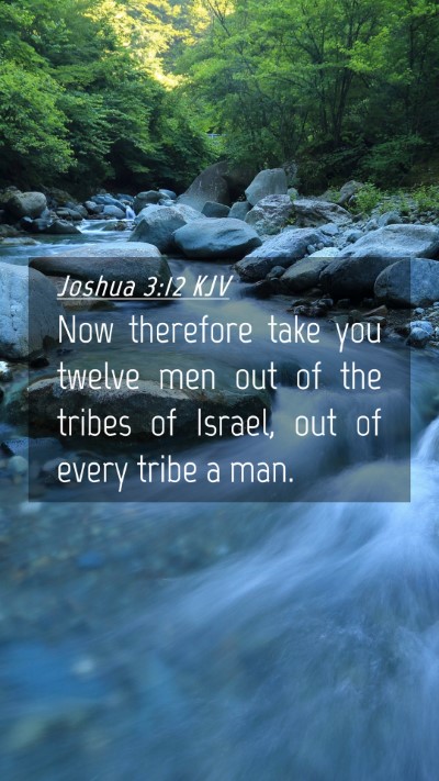 Picture 04 - Joshua 3:12 KJV Mobile Phone Wallpaper - Now therefore take you twelve men out of the - Mobile Bible Verse Wallpaper