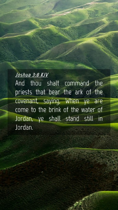 Picture 04 - Joshua 3:8 KJV Mobile Phone Wallpaper - And thou shalt command the priests that bear the - Mobile Bible Verse Wallpaper