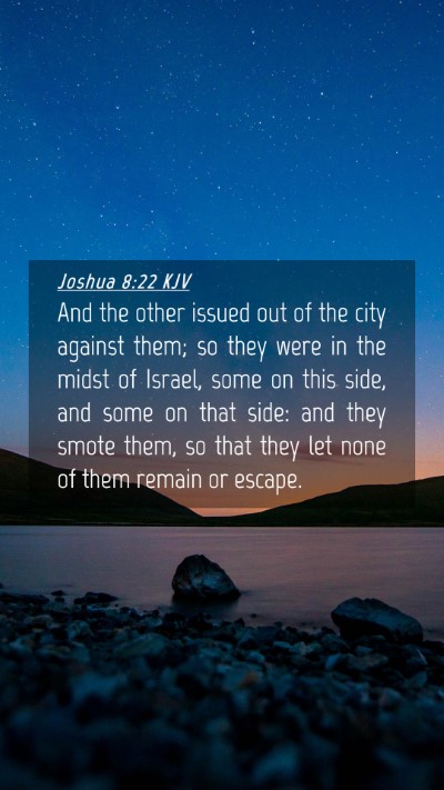 Picture 04 - Joshua 8:22 KJV Mobile Phone Wallpaper - And the other issued out of the city against - Mobile Bible Verse Wallpaper