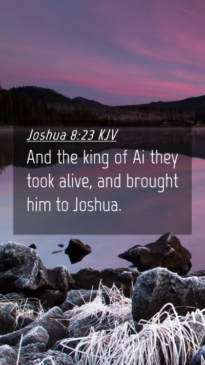 Picture 04 - Joshua 8:23 KJV Mobile Phone Wallpaper - And the king of Ai they took alive, and brought - Mobile Bible Verse Wallpaper