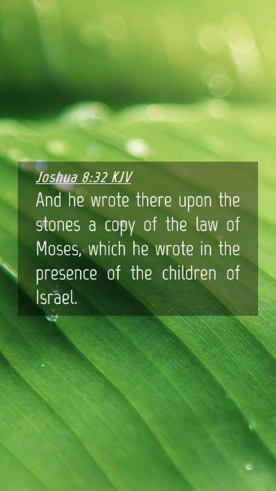 Picture 04 - Joshua 8:32 KJV Mobile Phone Wallpaper - And he wrote there upon the stones a copy of the - Mobile Bible Verse Wallpaper