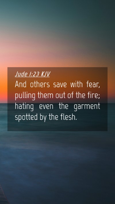 Picture 04 - Jude 1:23 KJV Mobile Phone Wallpaper - And others save with fear, pulling them out of - Mobile Bible Verse Wallpaper