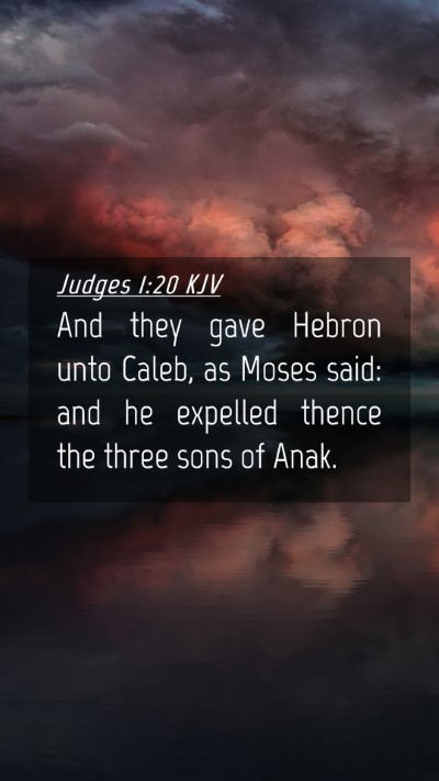 Picture 04 - Judges 1:20 KJV Mobile Phone Wallpaper - And they gave Hebron unto Caleb, as Moses said: - Mobile Bible Verse Wallpaper