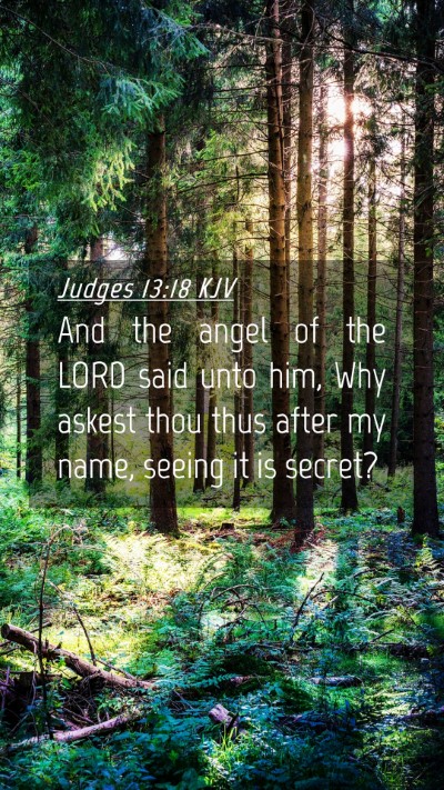 Picture 04 - Judges 13:18 KJV Mobile Phone Wallpaper - And the angel of the LORD said unto him, Why - Mobile Bible Verse Wallpaper