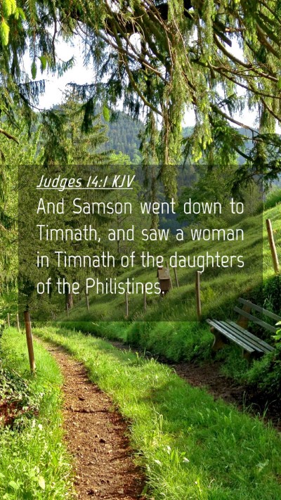 Picture 04 - Judges 14:1 KJV Mobile Phone Wallpaper - And Samson went down to Timnath, and saw a woman - Mobile Bible Verse Wallpaper