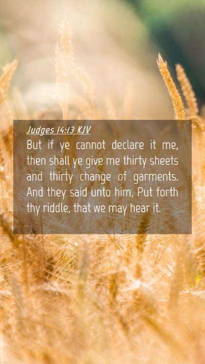 Picture 04 - Judges 14:13 KJV Mobile Phone Wallpaper - But if ye cannot declare it me, then shall ye - Mobile Bible Verse Wallpaper
