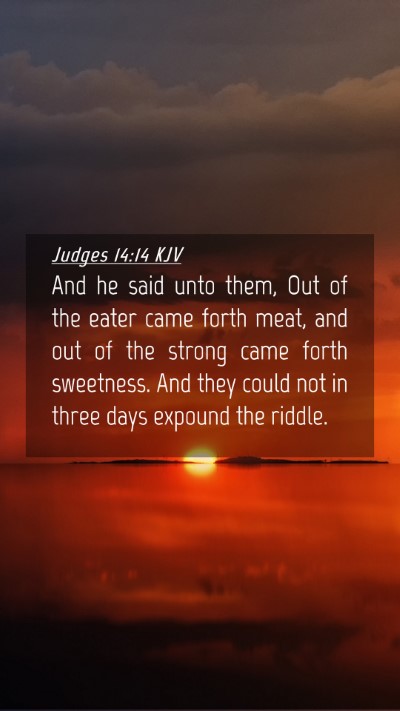 Picture 04 - Judges 14:14 KJV Mobile Phone Wallpaper - And he said unto them, Out of the eater came - Mobile Bible Verse Wallpaper