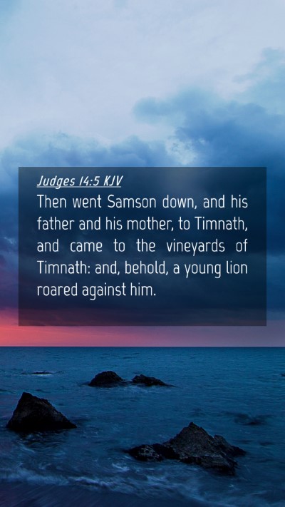 Picture 04 - Judges 14:5 KJV Mobile Phone Wallpaper - Then went Samson down, and his father and his - Mobile Bible Verse Wallpaper