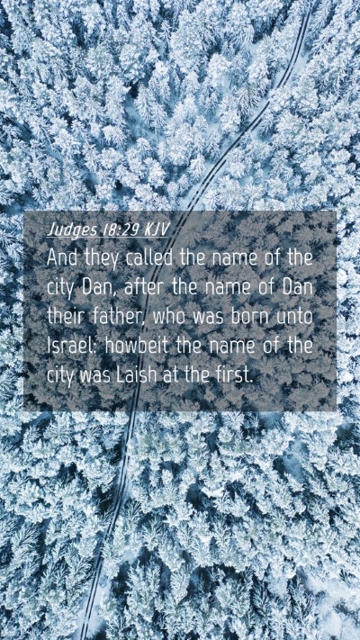 Picture 04 - Judges 18:29 KJV Mobile Phone Wallpaper - And they called the name of the city Dan, after - Mobile Bible Verse Wallpaper