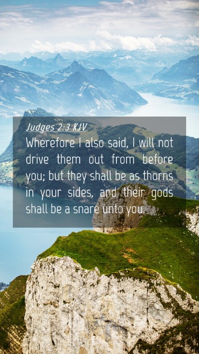 Picture 04 - Judges 2:3 KJV Mobile Phone Wallpaper - Wherefore I also said, I will not drive them out - Mobile Bible Verse Wallpaper