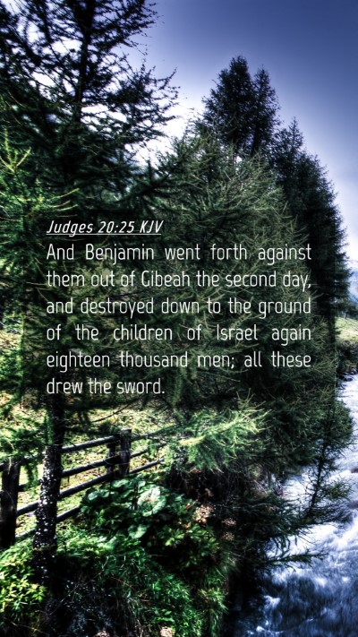 Picture 04 - Judges 20:25 KJV Mobile Phone Wallpaper - And Benjamin went forth against them out of - Mobile Bible Verse Wallpaper