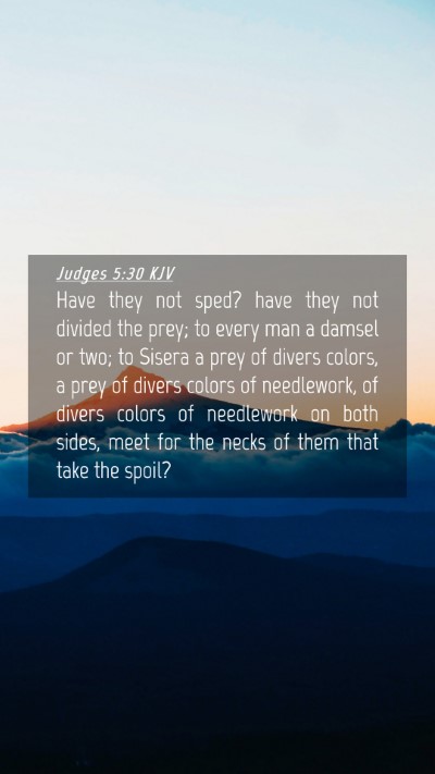 Picture 04 - Judges 5:30 KJV Mobile Phone Wallpaper - Have they not sped? have they not divided the - Mobile Bible Verse Wallpaper