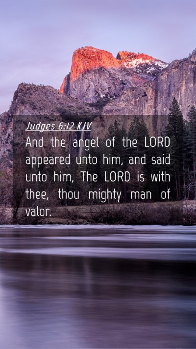 Picture 04 - Judges 6:12 KJV Mobile Phone Wallpaper - And the angel of the LORD appeared unto him, and - Mobile Bible Verse Wallpaper