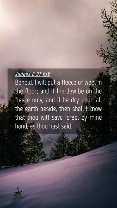Picture 04 - Judges 6:37 KJV Mobile Phone Wallpaper - Behold, I will put a fleece of wool in the floor; - Mobile Bible Verse Wallpaper