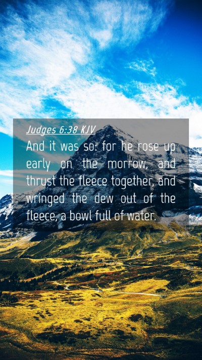 Picture 04 - Judges 6:38 KJV Mobile Phone Wallpaper - And it was so: for he rose up early on the - Mobile Bible Verse Wallpaper