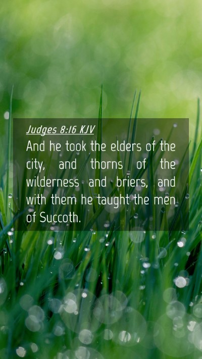 Picture 04 - Judges 8:16 KJV Mobile Phone Wallpaper - And he took the elders of the city, and thorns of - Mobile Bible Verse Wallpaper