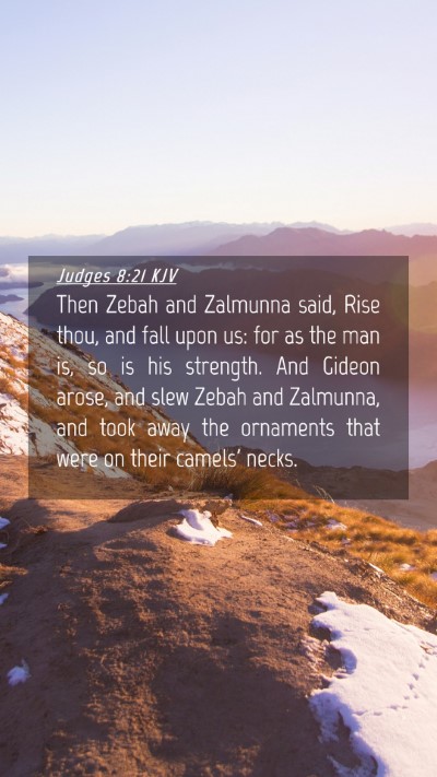 Picture 04 - Judges 8:21 KJV Mobile Phone Wallpaper - Then Zebah and Zalmunna said, Rise thou, and fall - Mobile Bible Verse Wallpaper