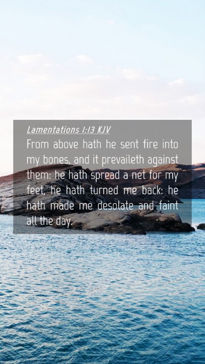 Picture 04 - Lamentations 1:13 KJV Mobile Phone Wallpaper - From above hath he sent fire into my bones, and - Mobile Bible Verse Wallpaper