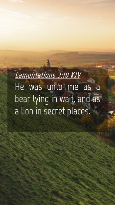 Picture 04 - Lamentations 3:10 KJV Mobile Phone Wallpaper - He was unto me as a bear lying in wait, and as a - Mobile Bible Verse Wallpaper