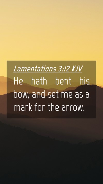 Picture 04 - Lamentations 3:12 KJV Mobile Phone Wallpaper - He hath bent his bow, and set me as a mark for - Mobile Bible Verse Wallpaper