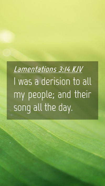 Picture 04 - Lamentations 3:14 KJV Mobile Phone Wallpaper - I was a derision to all my people; and their song - Mobile Bible Verse Wallpaper