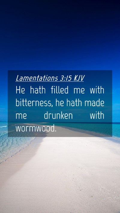 Picture 04 - Lamentations 3:15 KJV Mobile Phone Wallpaper - He hath filled me with bitterness, he hath made - Mobile Bible Verse Wallpaper