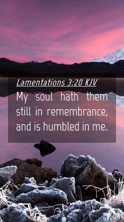 Picture 04 - Lamentations 3:20 KJV Mobile Phone Wallpaper - My soul hath them still in remembrance, and is - Mobile Bible Verse Wallpaper