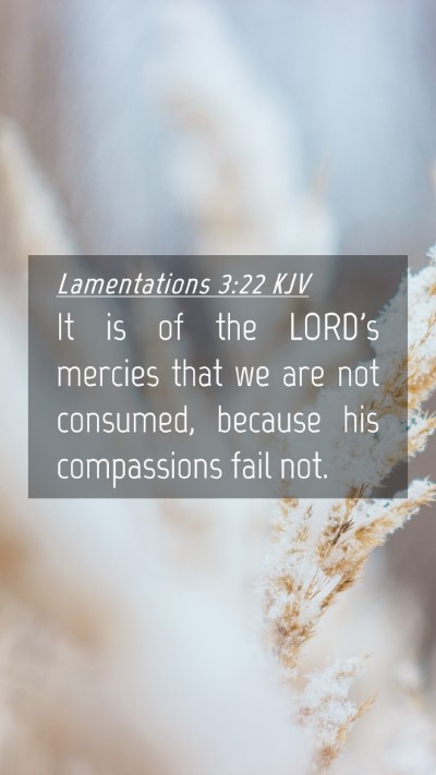 Picture 04 - Lamentations 3:22 KJV Mobile Phone Wallpaper - It is of the LORD's mercies that we are not - Mobile Bible Verse Wallpaper