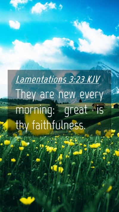 Picture 04 - Lamentations 3:23 KJV Mobile Phone Wallpaper - They are new every morning: great is thy - Mobile Bible Verse Wallpaper