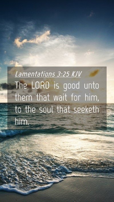 Picture 04 - Lamentations 3:25 KJV Mobile Phone Wallpaper - The LORD is good unto them that wait for him, to - Mobile Bible Verse Wallpaper