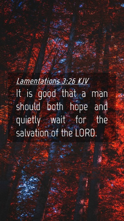 Picture 04 - Lamentations 3:26 KJV Mobile Phone Wallpaper - It is good that a man should both hope and - Mobile Bible Verse Wallpaper