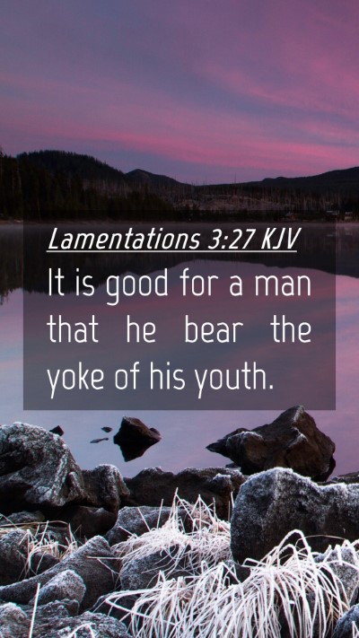 Picture 04 - Lamentations 3:27 KJV Mobile Phone Wallpaper - It is good for a man that he bear the yoke of his - Mobile Bible Verse Wallpaper