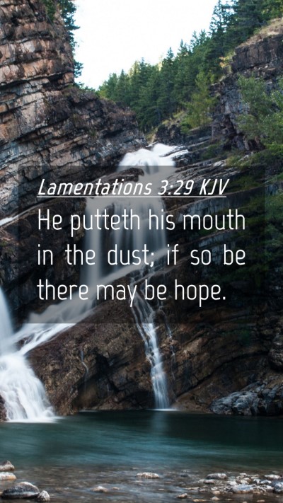Picture 04 - Lamentations 3:29 KJV Mobile Phone Wallpaper - He putteth his mouth in the dust; if so be there - Mobile Bible Verse Wallpaper