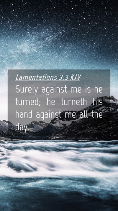 Picture 04 - Lamentations 3:3 KJV Mobile Phone Wallpaper - Surely against me is he turned; he turneth his - Mobile Bible Verse Wallpaper