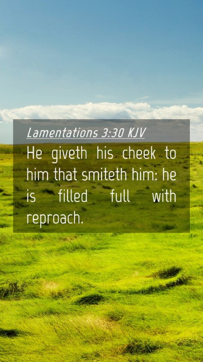 Picture 04 - Lamentations 3:30 KJV Mobile Phone Wallpaper - He giveth his cheek to him that smiteth him: he - Mobile Bible Verse Wallpaper