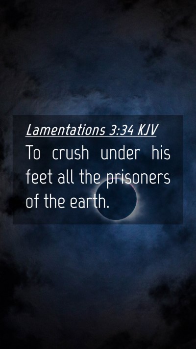 Picture 04 - Lamentations 3:34 KJV Mobile Phone Wallpaper - To crush under his feet all the prisoners of the - Mobile Bible Verse Wallpaper