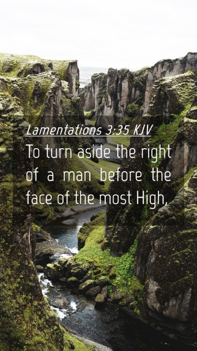 Picture 04 - Lamentations 3:35 KJV Mobile Phone Wallpaper - To turn aside the right of a man before the face - Mobile Bible Verse Wallpaper